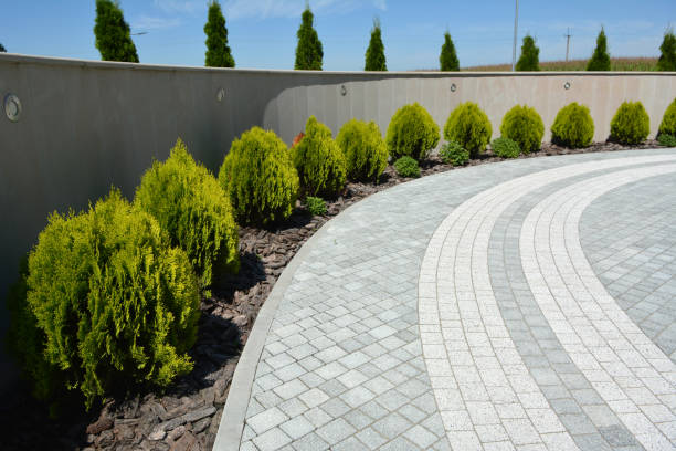 Best Affordable Driveway Paving  in Rossmoor, CA